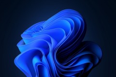 win11右边的通知关掉的方法