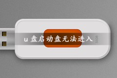 u盘启动盘无法进入引导安装系统