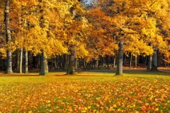 广州地铁2023年规划图（2023广州地铁运营时间表图片）