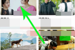 影视大全怎么开倍速