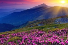 分数线什么时候公布2023（2023录取分数线是多少）