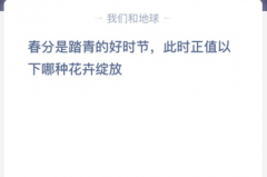 苹果cms教程春分是踏青的好时节，此时正值以下哪种花卉绽放？苹果cms模板