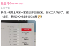 华为mate60pro什么处理器