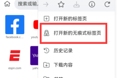 kiwi浏览器安全吗