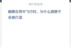 苹果cms教程蝴蝶在雨中飞行时，为什么翅膀不会被打湿？苹果cms模板