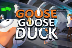 鹅鸭杀殡仪员看不到身份怎么办？鹅鸭杀殡仪员是干嘛的？技能用不了解决方法