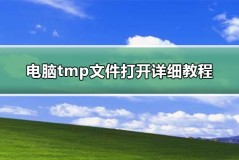 电脑tmp文件打开详细教程